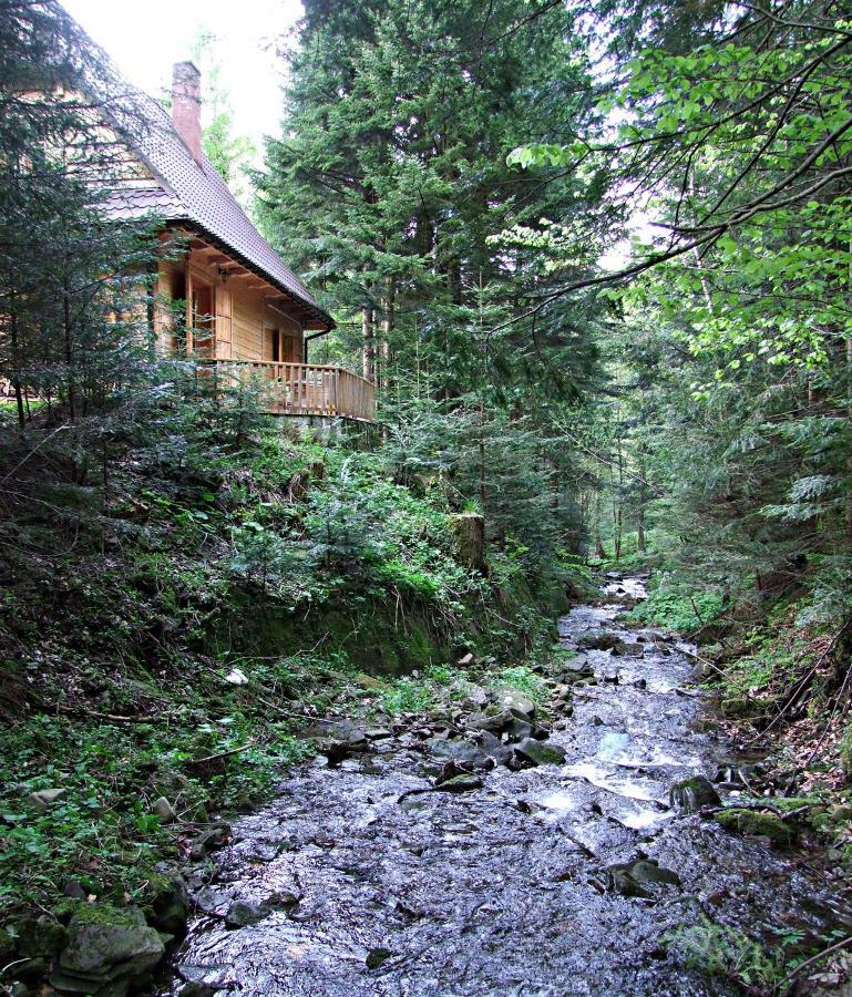 Vila Dom Nad Potokiem Zawoja Exteriér fotografie